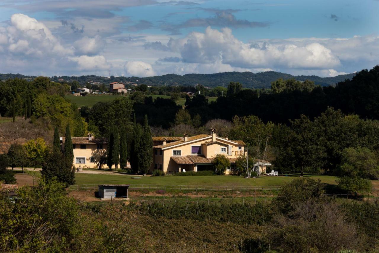 Bed and Breakfast Borgo Del Gelso Olgiata Exteriér fotografie
