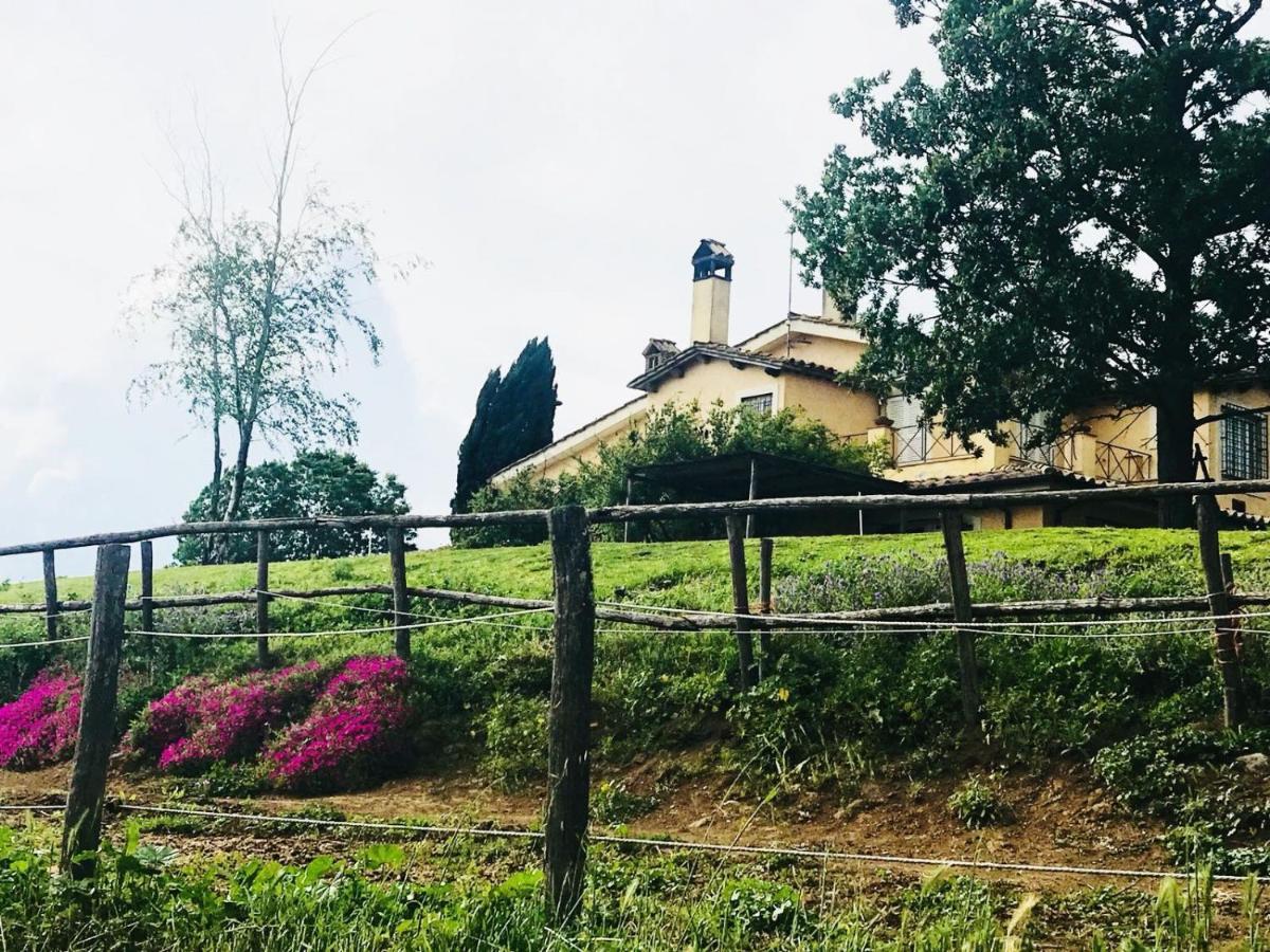 Bed and Breakfast Borgo Del Gelso Olgiata Exteriér fotografie